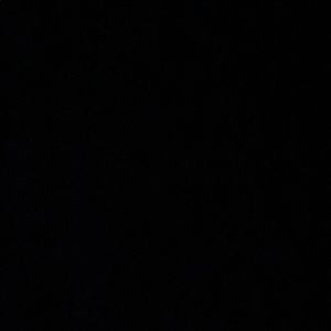 Meet your Posher, Irma